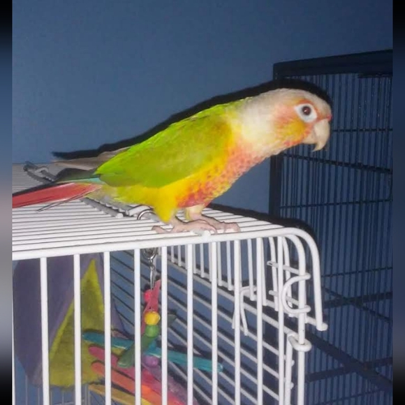 Meet your Posher, Rebecca - Picture 10 of 16